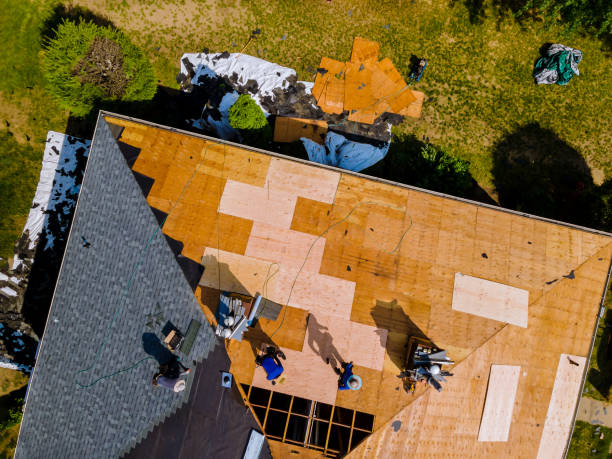 Best Roof Gutter Cleaning  in Buena Vista, VA