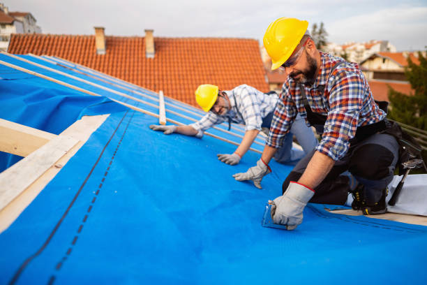 Best Roof Waterproofing Services  in Buena Vista, VA