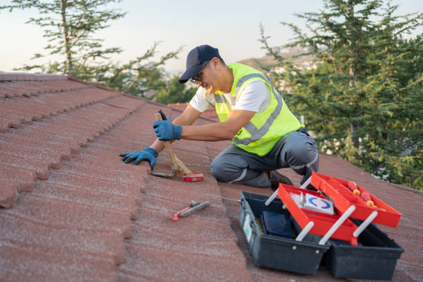 Best Roof Leak Repair  in Buena Vista, VA